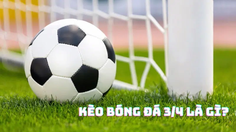 kèo chấp nửa một là gì Kinh nghiệm đúc rút khi cược kèo chấp nửa luôn bất bại