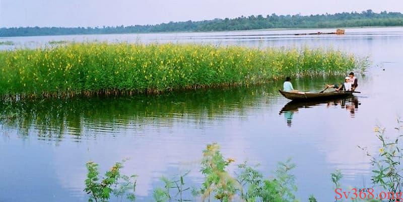 Giấc mơ sông nước có nhiều cá