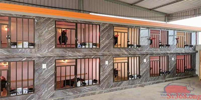 Hướng Dẫn Cách Làm Chuồng Bay Cho Gà Đá Đơn Giản Tại Sv368 2 cách làm chuồng gà bay cho gà đá