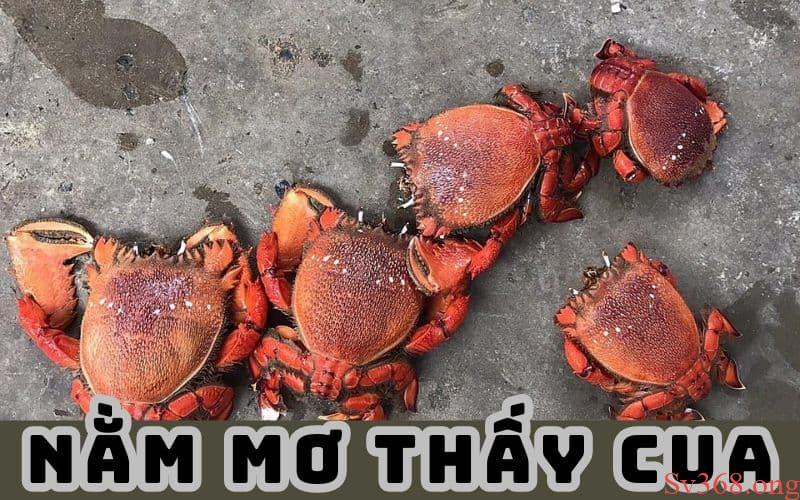 Mơ Thấy Cua - Giải Mã Những Giấc Mơ Thấy Cua Thường Gặp 5 Tìm hiểu mơ thấy cua